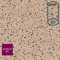 �������� ��������������  iQ ERA SC_802.  ������ 2 �. � ������ 46 �2/ 23 ���. �. �� 2.