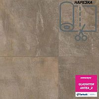 ��������  GLADIATOR -ANTEA_2. ������: 2,5/ 3/ 3.5 �. � ������ 20 ���. �. ��_5.