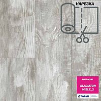 ��������  GLADIATOR - MIELE_3. ������: 2.5/ 3/ 3.5 �. � ������ 20 ���. �. ��_5.