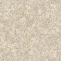 �������� PRAKTIKA - ��������, NUBIA_5