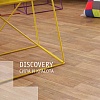 Линолеум DISCOVERY - ДИСКАВЕРИ, Tarkett Линолеум DISCOVERY - ДИСКАВЕРИ, Tarkett