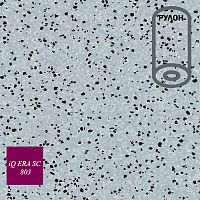 �������� ��������������  iQ ERA SC_803.  ������ 2 �. � ������ 46 �2/ 23 ���. �. �� 2.